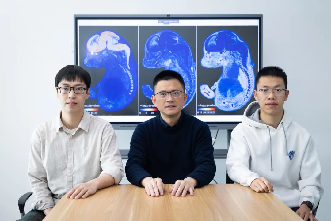 西晋文学研究 研究成果